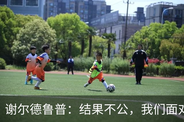 谢尔德鲁普：结果不公，我们面对的数据暗示了运气不佳